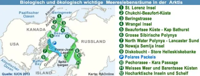 Морские бактерии производят экологически важную молекулу, связанную с климатом
