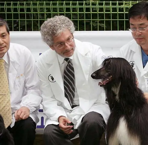 Ученые создали мышь, которая сопротивляется приманке кокаина: биохимически «жестко подключая» синапсы, они предотвращают зависимость от наркотиков