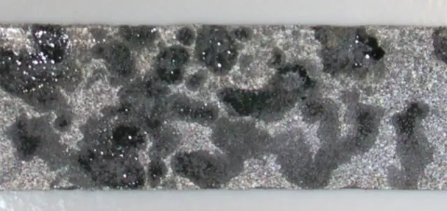 Новые бактерии, восстанавливающие оксиды металлоидов, обнаружены в хвостах золотого рудника Нопиминг в Манитобе