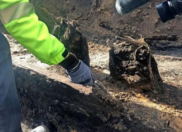 Древние кувшины, найденные в Иудее, показывают, что магнитное поле Земли колеблется, а не ослабевает