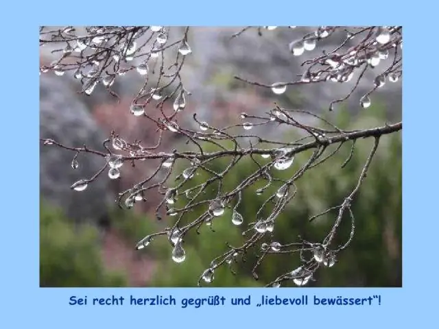 Уникальная техника вращения смертоносного паука может вдохновить на создание более прочных материалов