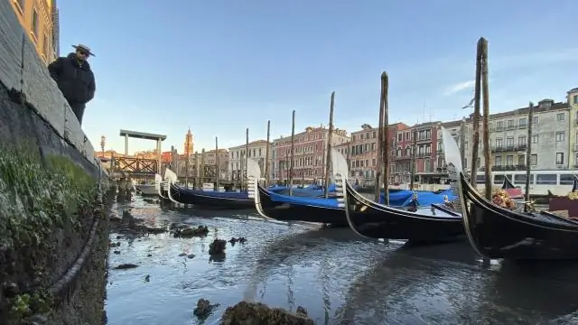 Экстремальные колебания популяций кормовых рыб