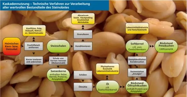 Биоразнообразие может способствовать повышению эффективности экосистем