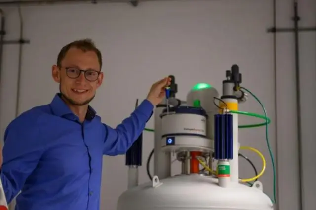 Биохимические хитрости спящего медведя