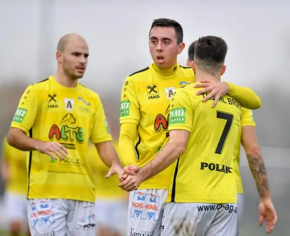 Радужные красители повышают точность борьбы с «супербактериями»: новая технология раскрывает биохимический часовой механизм, стоящий за делением клеток у бактерий