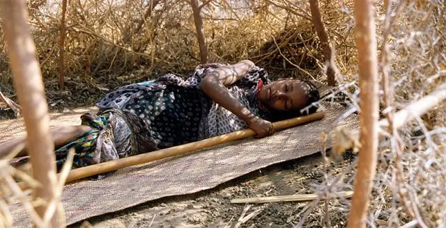 Ограбленные королевские особы: увечья и социальная детерминация самок муравьев Diacamma