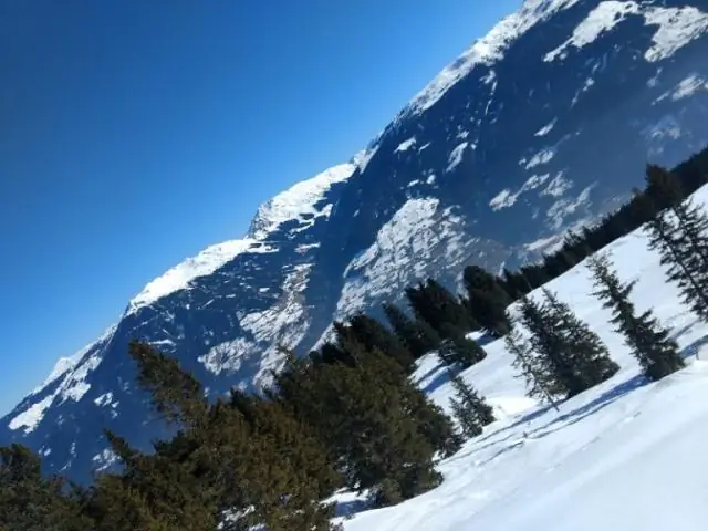 Те, кто помогает друг другу, могут вторгаться в более суровые условия