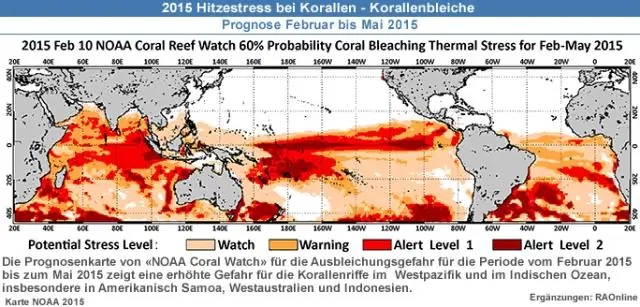 Выявлены последствия массового вымирания кораллов на рифах Индийского океана