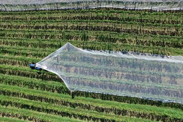 Профессор изучает влияние изменения климата на коралловые рифы и моллюсков