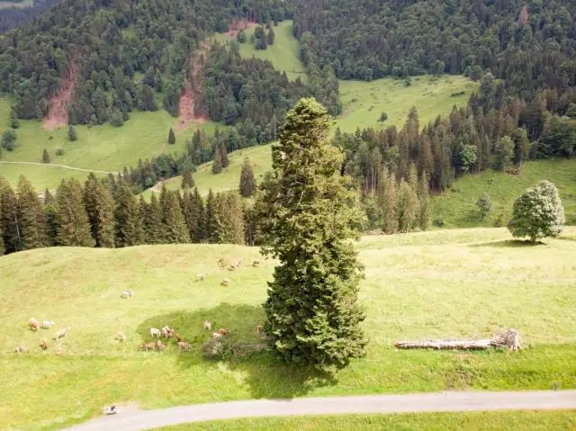 Гигантский вымерший червь-монстр возрастом 400 миллионов лет обнаружен в канадском музее