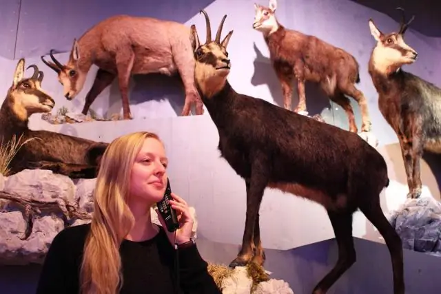 Со временем неприятные наводнения могут стоить больше, чем экстремальные, редкие события: исследователи обнаружили, что долгосрочное воздействие изменения климата на города США усиливается