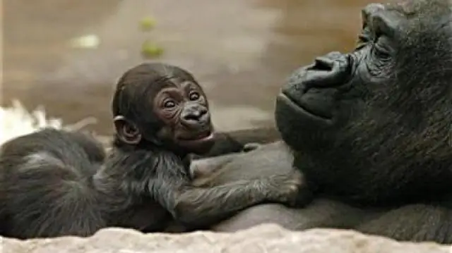 Генетические данные показывают, что 5000 лет назад из причерноморских степей в Европу мигрировали в основном мужчины