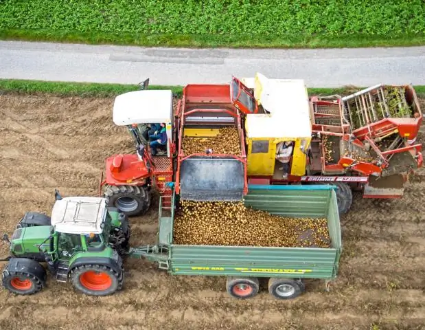 Победители, проигравшие среди рыб, когда ландшафт меняется