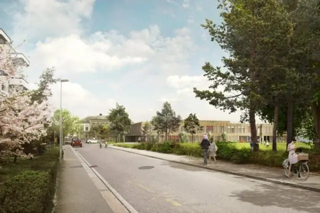 Владение кошкой не связано с проблемами психического здоровья