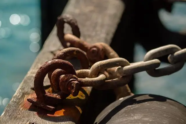 Как соборные термиты попали в Австралию, чтобы построить свои «небоскребы»: Курганы, эквивалентные 4 Бурдж-Халифам, самому высокому зданию в мире