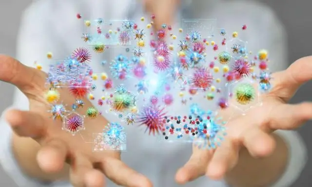 Вирусы поддерживают фотосинтез у бактерий: эволюционное преимущество?