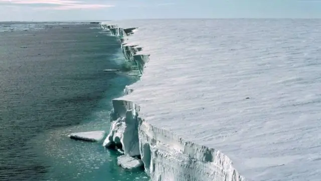 Таяние полярных льдов, повышение уровня моря опасны не только изменением климата: исследователь указывает на усиление засух в тропических лесах Амазонки
