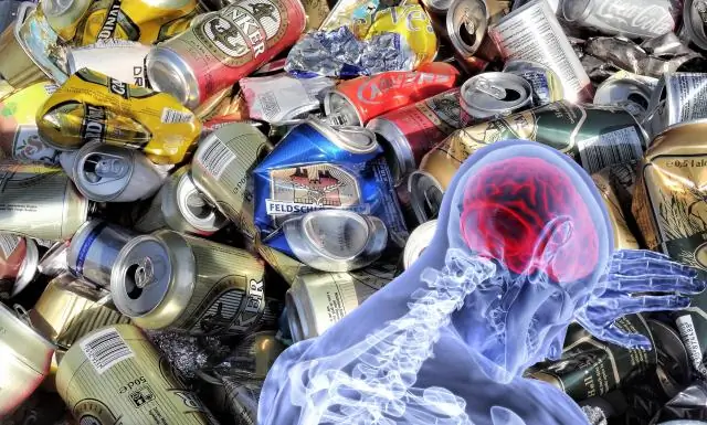 У домашних кошек обнаружен высокий уровень химических веществ