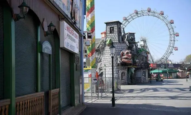 Подробнее о вирусной инфекции, пожалуйста