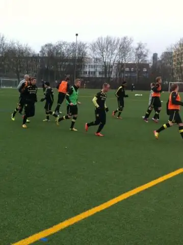 Возможно, еще не поздно спасти «вымершего» голубя