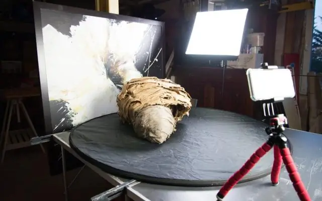 Новый инструмент для борьбы с переносимыми комарами болезнями: гены насекомых-паразитов