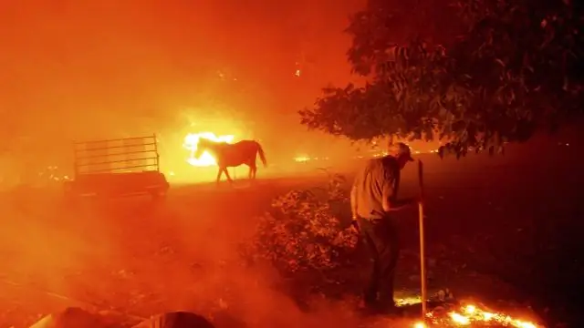 Люди вызвали 84 процента лесных пожаров в США, что увеличило сезон пожаров за два десятилетия