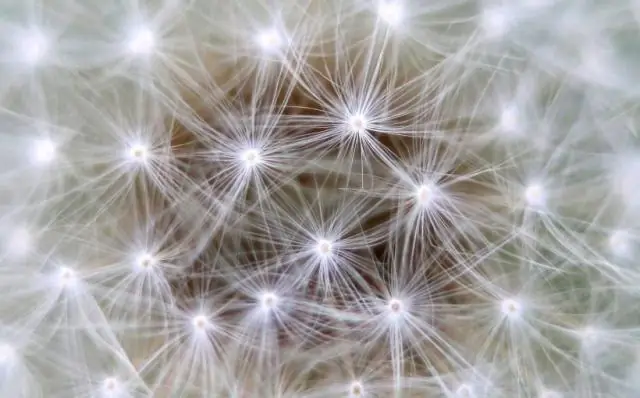 Редкие белки разрушаются раньше