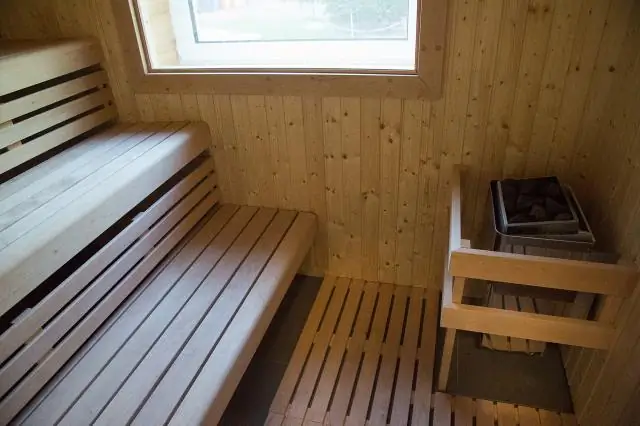 Миниатюрные организмы в песке играют большую роль в нашем океане