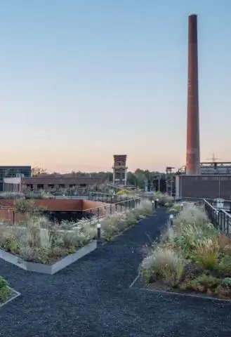 Улучшение биоразнообразия зеленых крыш