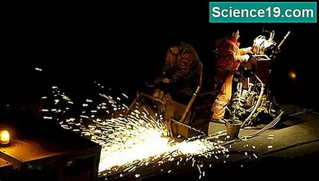 Природа может дать отпор научным экспериментам с генами целых видов