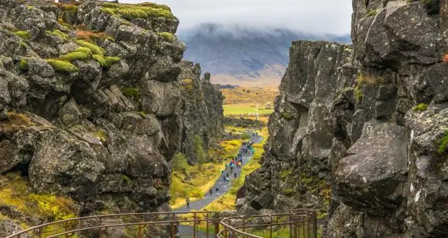 Волшебный покровный ковер?