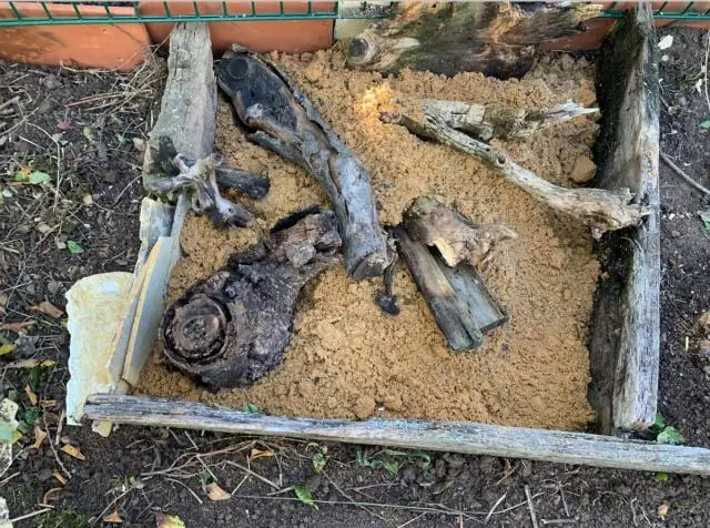 Важность редких видов микробов намного выше, чем вы думаете