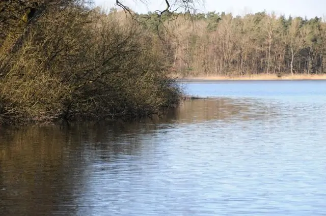 Подводные горы помогают океанской воде подняться из бездны: турбулентность топографии морского дна может объяснить давний вопрос о циркуляции океана
