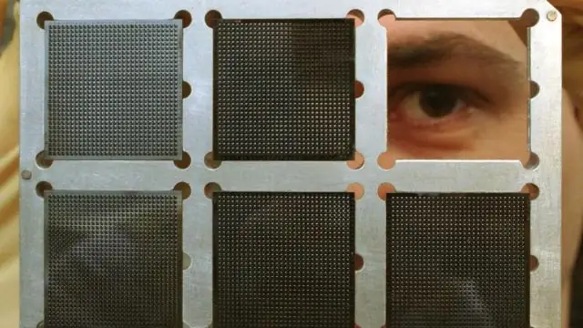 Модель роста деревьев помогает выращивать больше древесины: биолог и математик объединяют усилия для создания более толстых и быстрорастущих деревьев