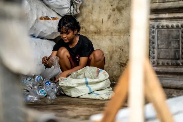 Вонючие лапки шмелей помогают определить, где найти обед