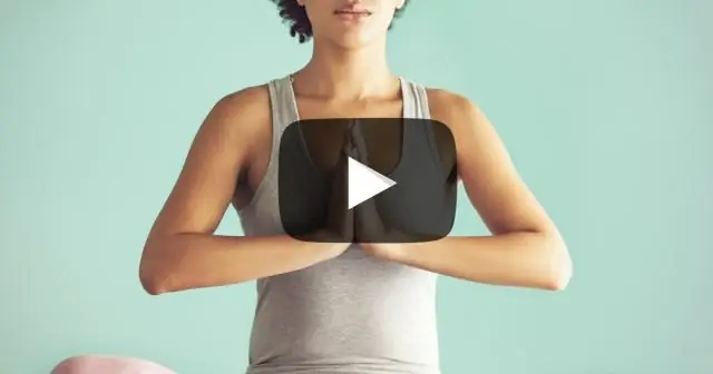 Сканирование мозга стажеров-служебных собак помогает отделить более слабых рекрутов от стаи