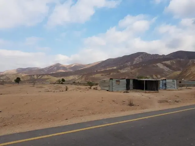 Небольшой дождь может распространять почвенные бактерии повсюду, показало исследование: глобальные осадки могут составлять от 1 до 25 процентов бактерий, выбрасываемых с земли