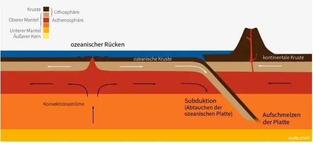 Конвергентные мошенники: как бродяги продолжают развиваться в паразитов армейских муравьев