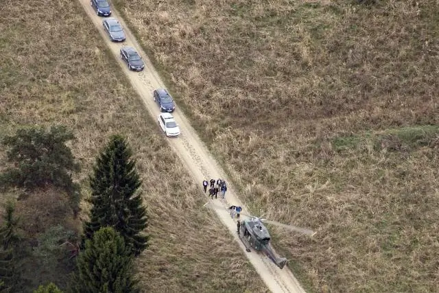 Обнаружить. Заблокировать. Перехват. Замечательные охотничьи способности мухи-разбойницы