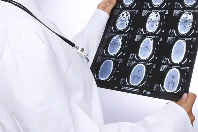 Измерения школьников проложили путь к ключевым результатам исследований озер и глобального потепления