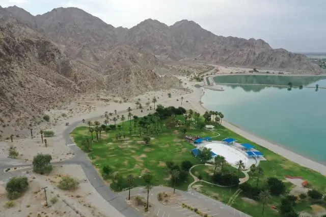 Замкнутый круг засухи и вырубки лесов в Амазонии