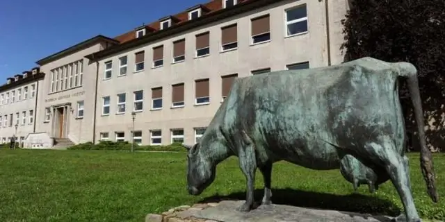 Вирус, смертельный для амфибий, распространяется по Португалии