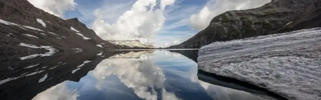 Швейцария может производить больше энергии из использованной древесины