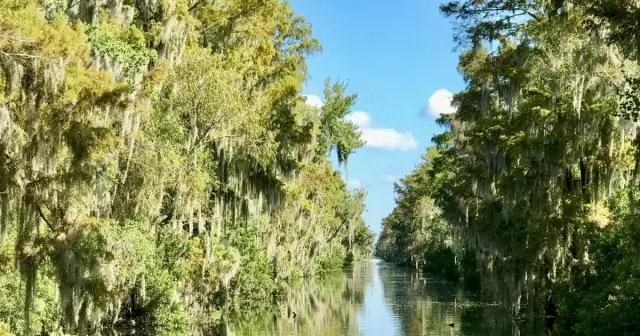 Водно-болотные угодья Луизианы борются с повышением уровня моря в 4 раза по сравнению со средним мировым показателем