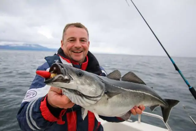 Прыжок на сушу спасает рыбу от поедания