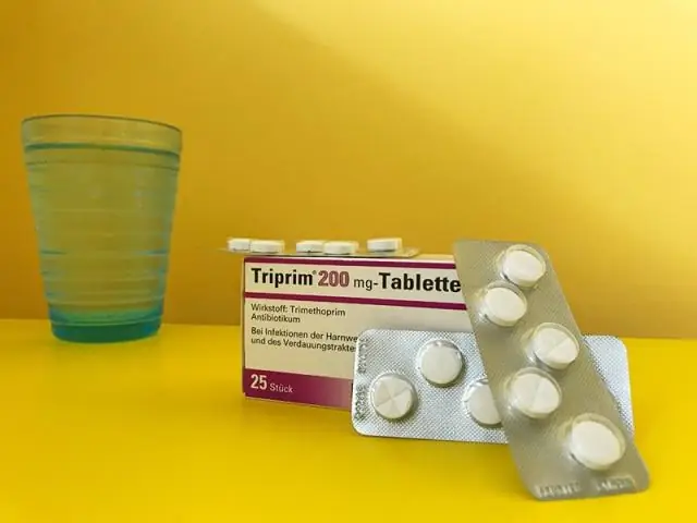 Злоупотребление антибиотиками опасно для пчел и для нас