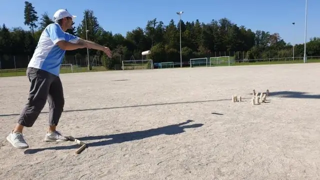 Финским мухам не нужно спать днем