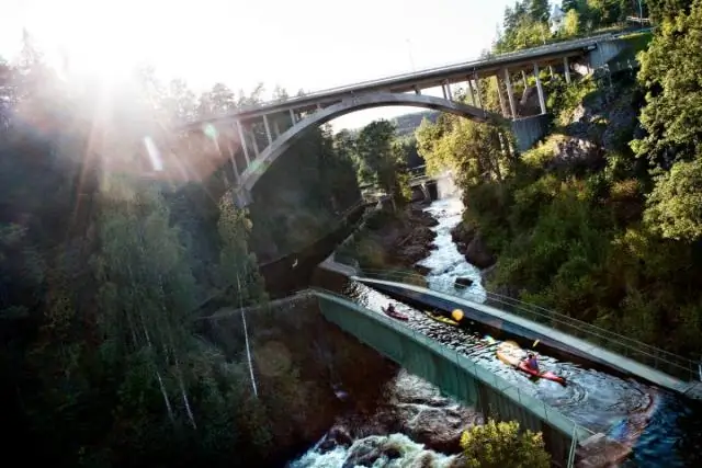 Тихоходки используют уникальный белок, чтобы защитить себя от высыхания