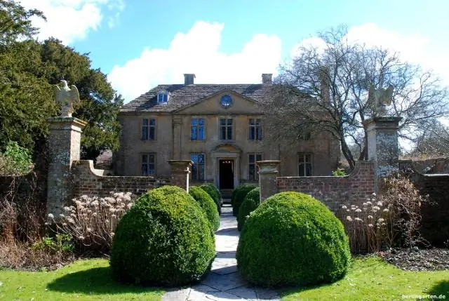 Травы: рецепт особенно эффективных устьиц