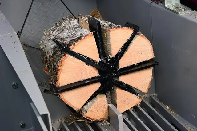 Исследования учат машины расшифровывать хор рассвета